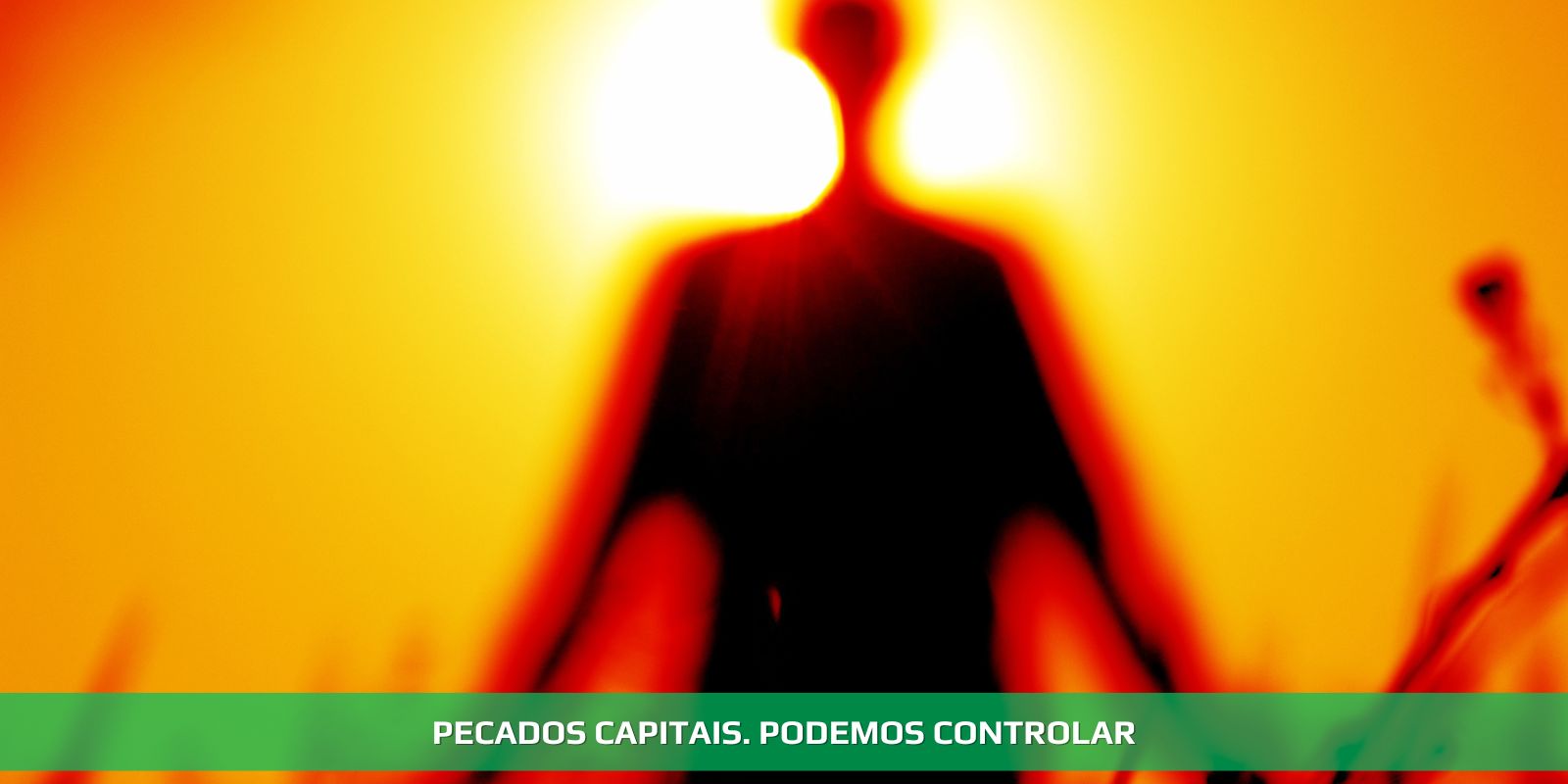 Figura 4 - PECADOS CAPITAIS.MUITO ALÉM DA RELIGIÃO